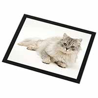 Silver Chinchilla Persian Cat Black Rim High Quality Glass Placemat