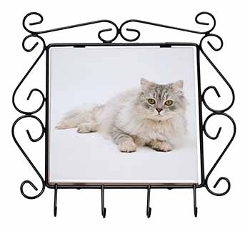 Silver Chinchilla Persian Cat Wrought Iron Key Holder Hooks