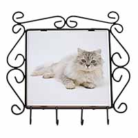 Silver Chinchilla Persian Cat Wrought Iron Key Holder Hooks