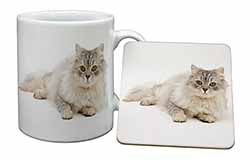 Silver Chinchilla Persian Cat Mug and Coaster Set