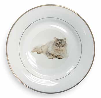 Silver Chinchilla Persian Cat Gold Rim Plate Printed Full Colour in Gift Box