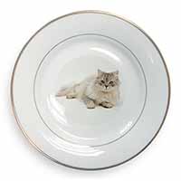 Silver Chinchilla Persian Cat Gold Rim Plate Printed Full Colour in Gift Box