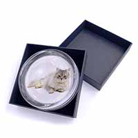 Silver Chinchilla Persian Cat Glass Paperweight in Gift Box
