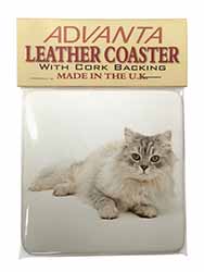 Silver Chinchilla Persian Cat Single Leather Photo Coaster