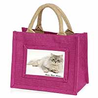 Chinchilla Persian Cat 