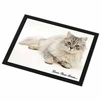 Chinchilla Persian Cat 