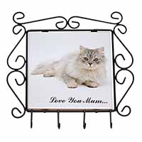 Chinchilla Persian Cat 