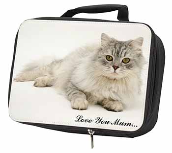 Chinchilla Persian Cat 