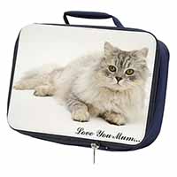 Chinchilla Persian Cat 