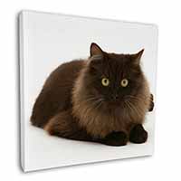 Chocolate Black Cat Square Canvas 12"x12" Wall Art Picture Print