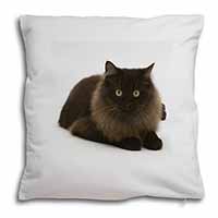 Chocolate Black Cat Soft White Velvet Feel Scatter Cushion