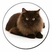 Chocolate Black Cat Fridge Magnet Printed Full Colour