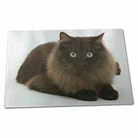 Large Glass Cutting Chopping Board Chocolate Black Cat