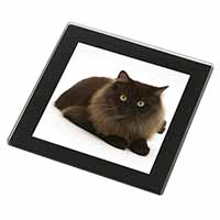 Chocolate Black Cat Black Rim High Quality Glass Coaster