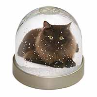 Chocolate Black Cat Snow Globe Photo Waterball