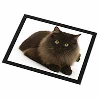 Chocolate Black Cat Black Rim High Quality Glass Placemat