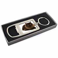 Chocolate Black Cat Chrome Metal Bottle Opener Keyring in Box