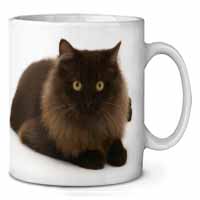 Chocolate Black Cat Ceramic 10oz Coffee Mug/Tea Cup