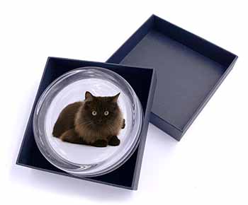 Chocolate Black Cat Glass Paperweight in Gift Box