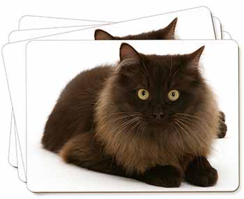 Chocolate Black Cat Picture Placemats in Gift Box