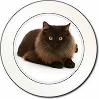 Chocolate Black Cat Car or Van Permit Holder/Tax Disc Holder