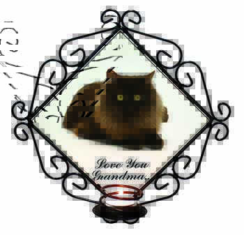 Browny Black Cat 