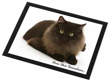 Browny Black Cat 