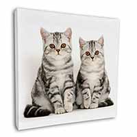 Silver Tabby Kittens Square Canvas 12"x12" Wall Art Picture Print