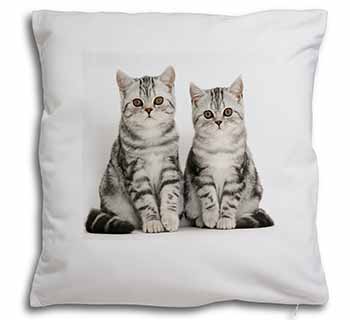 Silver Tabby Kittens Soft White Velvet Feel Scatter Cushion