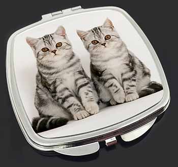 Silver Tabby Kittens Make-Up Compact Mirror
