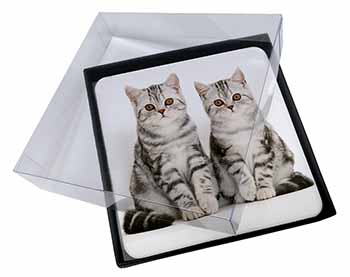 4x Silver Tabby Kittens Picture Table Coasters Set in Gift Box