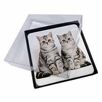 4x Silver Tabby Kittens Picture Table Coasters Set in Gift Box