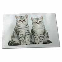 Large Glass Cutting Chopping Board Silver Tabby Kittens