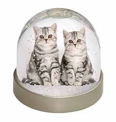 Silver Tabby Kittens Snow Globe Photo Waterball