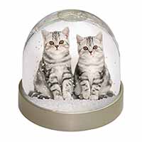 Silver Tabby Kittens Snow Globe Photo Waterball