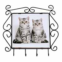 Silver Tabby Kittens Wrought Iron Key Holder Hooks