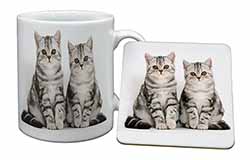 Silver Tabby Kittens Mug and Coaster Set