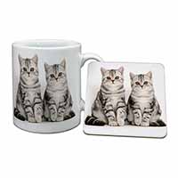 Silver Tabby Kittens Mug and Coaster Set