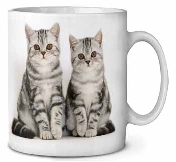 Silver Tabby Kittens Ceramic 10oz Coffee Mug/Tea Cup