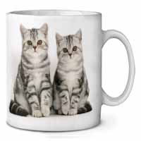 Silver Tabby Kittens Ceramic 10oz Coffee Mug/Tea Cup