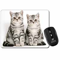 Silver Tabby Kittens Computer Mouse Mat