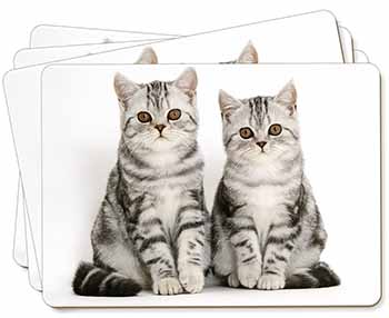 Silver Tabby Kittens Picture Placemats in Gift Box