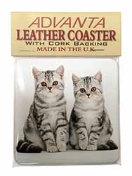 Silver Tabby Kittens Single Leather Photo Coaster