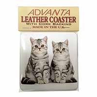 Silver Tabby Kittens Single Leather Photo Coaster