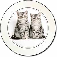 Silver Tabby Kittens Car or Van Permit Holder/Tax Disc Holder