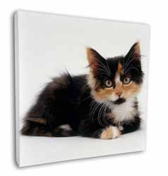 Cute Tortoiseshell Kitten Square Canvas 12"x12" Wall Art Picture Print