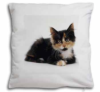 Cute Tortoiseshell Kitten Soft White Velvet Feel Scatter Cushion