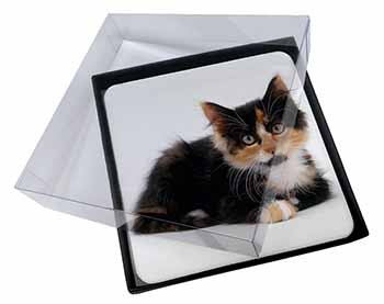 4x Cute Tortoiseshell Kitten Picture Table Coasters Set in Gift Box