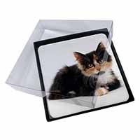 4x Cute Tortoiseshell Kitten Picture Table Coasters Set in Gift Box