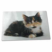 Large Glass Cutting Chopping Board Cute Tortoiseshell Kitten